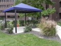 Commercial Awnings 16